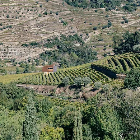 Villa Casa Do Lagar By Quinta De Reciao Lamego