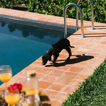Дом отдыха Casa Do Lagar By Quinta De Reciao
