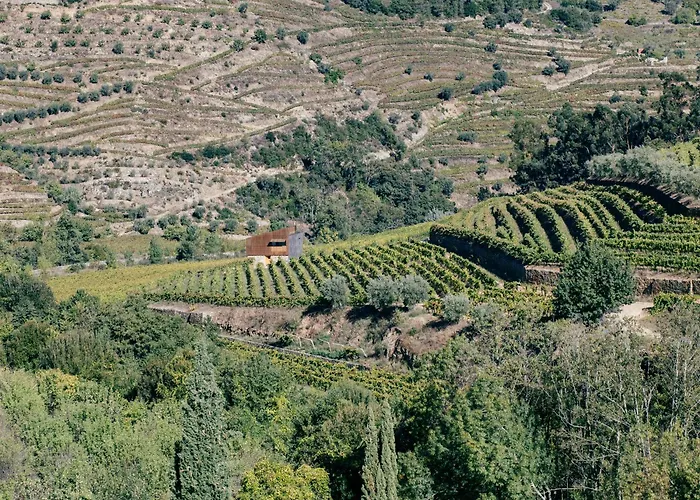 Feriehus Casa Do Lagar By Quinta De Reciao Lamego