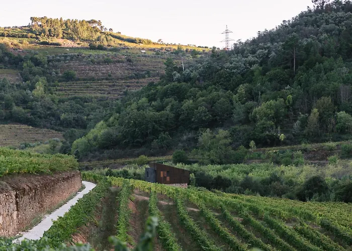 Casa Do Lagar By Quinta De Reciao