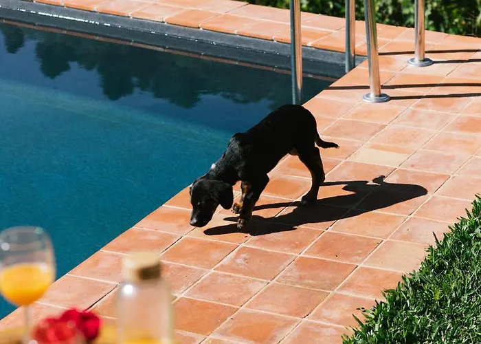 度假居 Casa Do Lagar By Quinta De Reciao